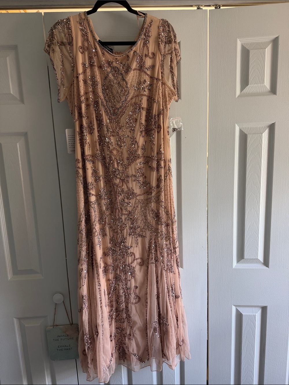 Pisarro Nights Blush Beaded Maxi Dress